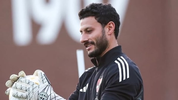 محمد الشناوي 