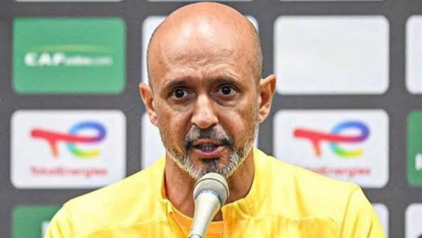 مدرب صن داونز