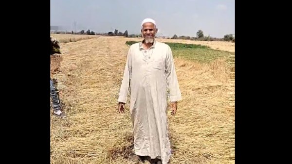 التفاصيل الكاملة لسرقة فداني قمح بقرية في الزقازيق