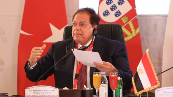  النائب محمد أبو العينين،