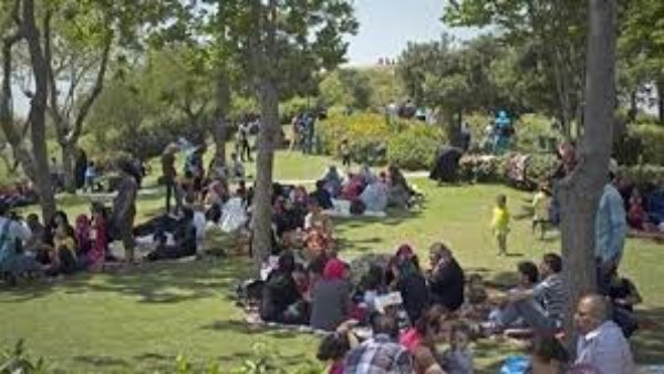 أكلة واحدة في شم النسيم ممكن تدخلك المستشفى.. احذريها فورًا  