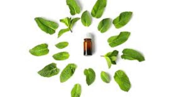 أسرع طريقة لتنظيف البيت والتخلص من الحشرات 