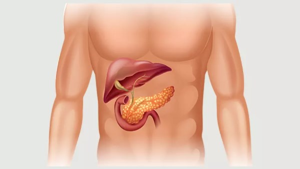 أعراض متشابهة .. ما هو قصور البنكرياس الخارجي