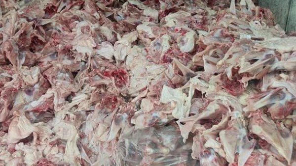 هياكل الفراخ 