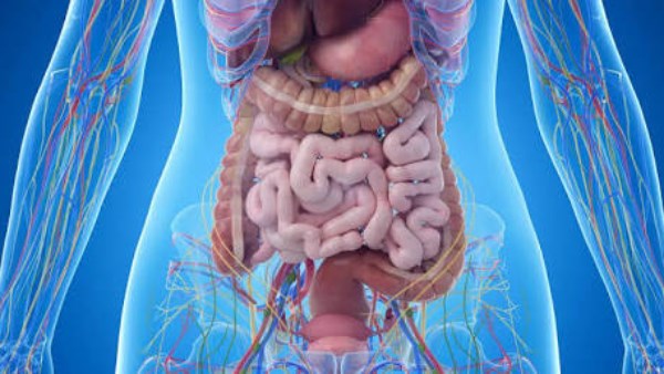 خطة إصلاح الأمعاء