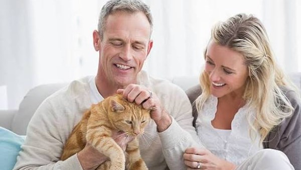 الإنسان والقطط.. صلة وراثية غير متوقعة