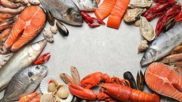 أفضل أطعمة غنية بالبروتين