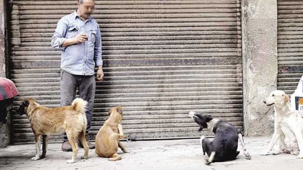 ترويع الناس