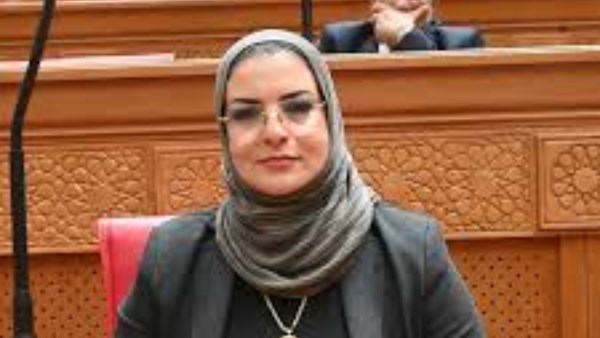 النائبة المهندسة  سهير كريم
