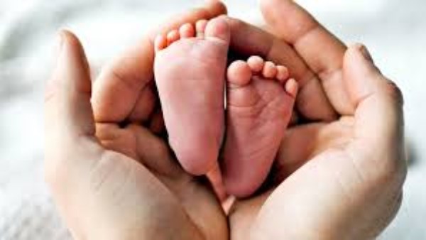 معدل الانجاب