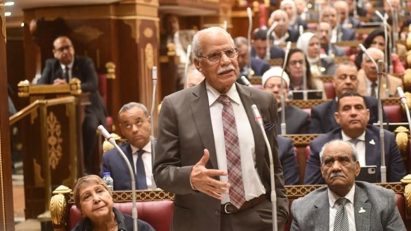 النائب الدكتور محمد أبو العلا رضوان