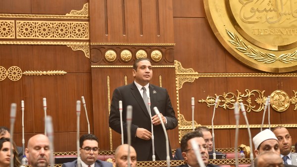  النائب عماد خليل، عضو مجلس الشيوخ 