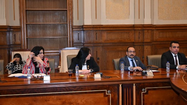 النائب عبد العاطي أحمد