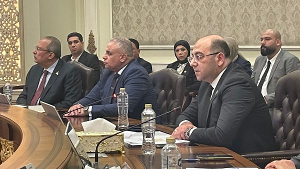 حزب حماة الوطن