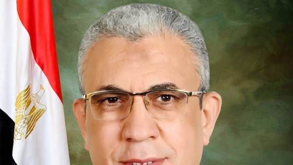 عادل عبد الفضيل 