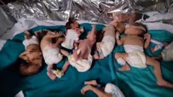 مصر تنقذ 8 أطفال فلسطينيين خُدج 