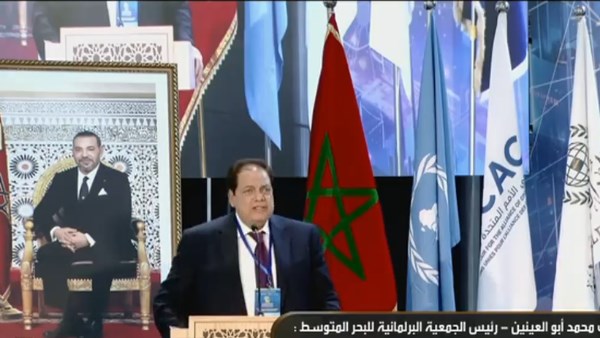 النائب محمد أبو العينين