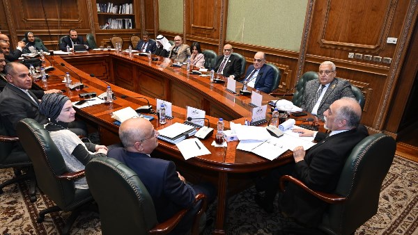 لجنة حقوق الإنسان والتضامن الاجتماعي