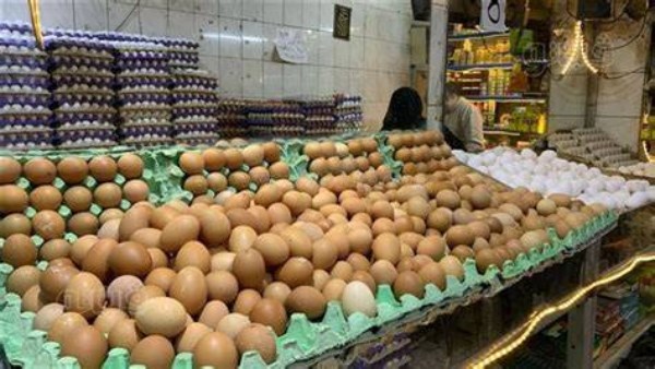 بيض المائدة