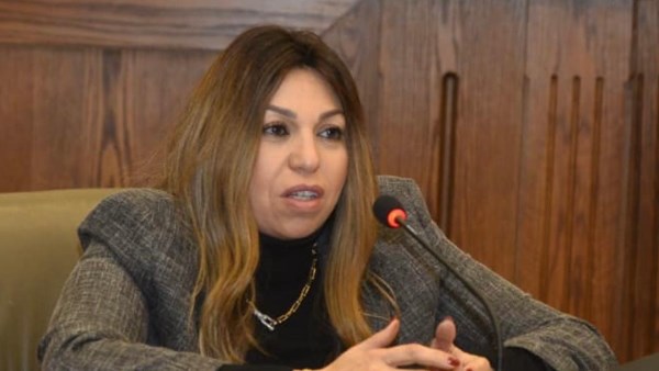 النائبة أماني فاخر ، وكيل لجنة الشئون المالية والاقتصادية والاستثمار بمجلس الشيوخ 