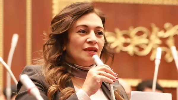 النائبة نيفين فارس، عضو مجلس الشيوخ عن حزب العدل وعضو اللجنة الدستورية والتشريعية