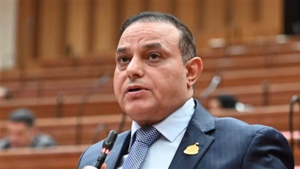 النائب الدكتور مختار همام مرسي وكيل لجنة الاسكان بمجلس النواب