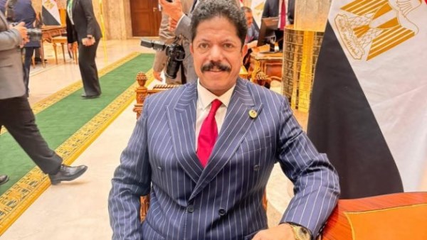 النائب علاء سليمان الحديوي، عضو مجلس النواب عن حزب حماة الوطن