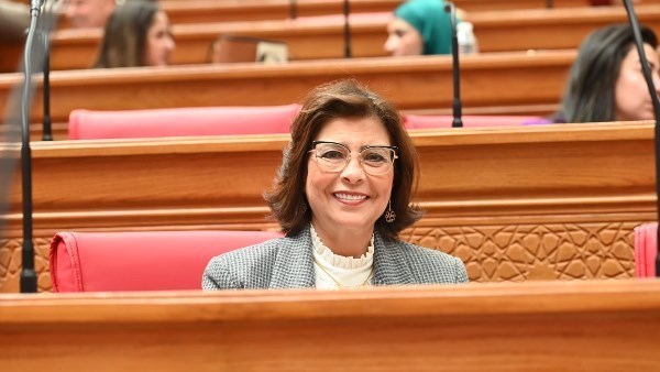 النائبة راندا مصطفى ، رئيس لجنة التضامن الاجتماعي بمجلس النواب
