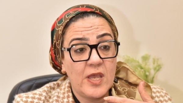 النائبة الدكتورة داليا الأتربي، عضو مجلس الشيوخ