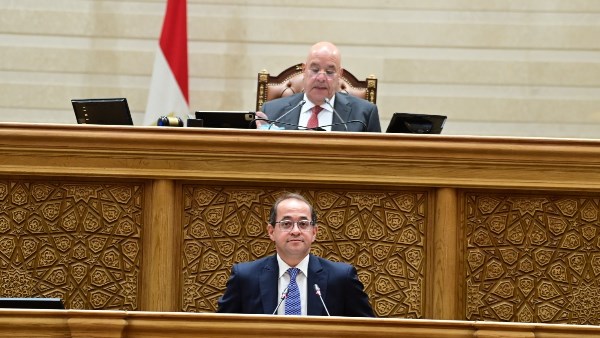 مجلس النواب