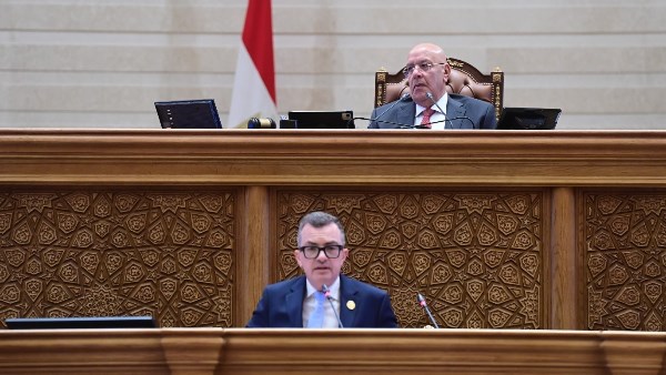  الدكتور أحمد رستم وزير التخطيط