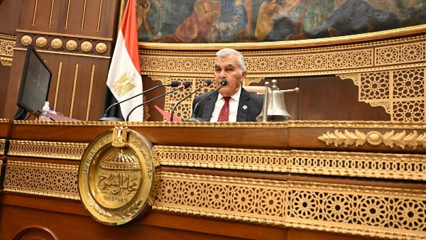  المستشار عصام فريد ، رئيس مجلس الشيوخ 