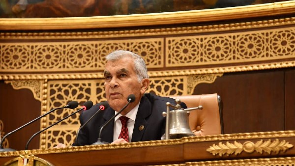 المستشار عصام الدين فريد، رئيس مجلس الشيوخ