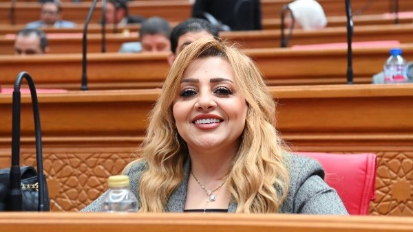  النائبة هبة غالي، عضو لجنة العلاقات الخارجية بمجلس النواب