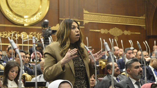 أماني فاخر ، وكيل اللجنة الاقتصادية بمجلس النواب 