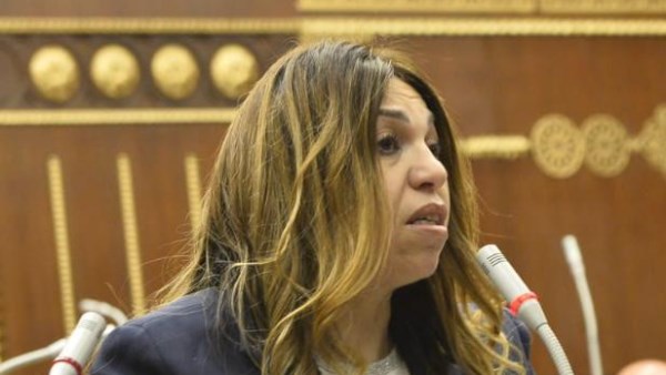 أماني فاخر ، وكيل اللجنة الاقتصادية بمجلس النواب 