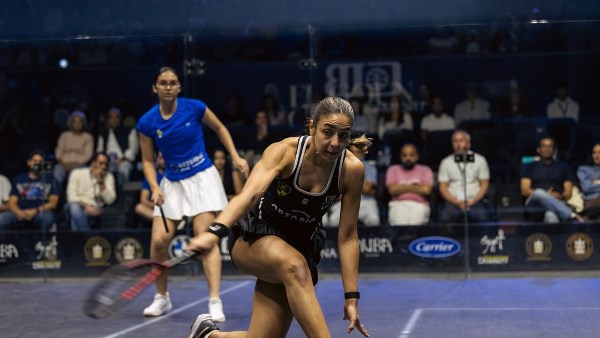 هانيا الحمامي