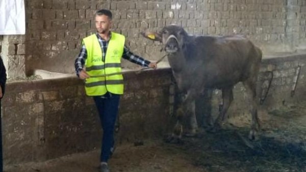 جمعية الأورمان