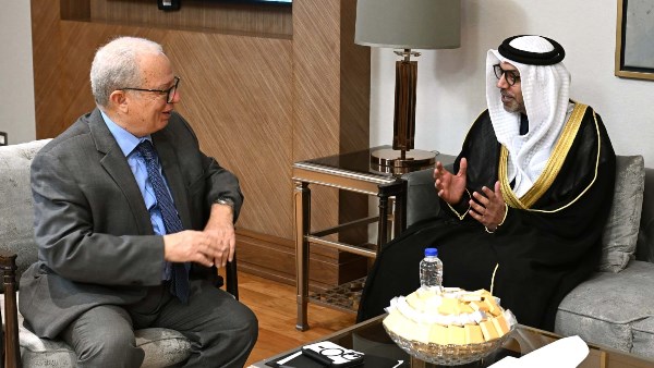 نائب رئيس الوزراء