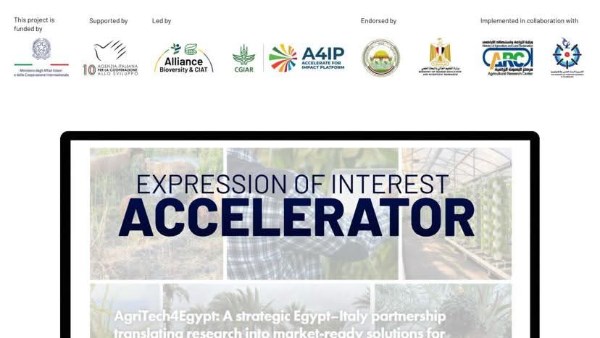 البحث العلمي 