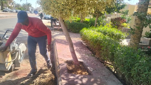 جانب من الحدث