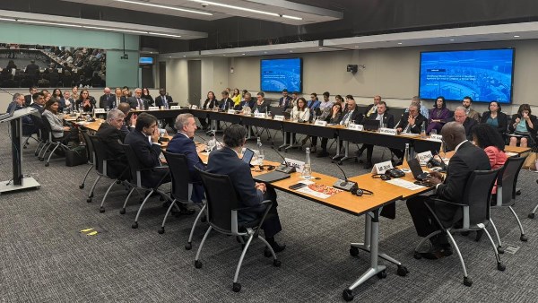 وزير التخطيط 