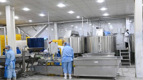 خلال الزيارة 