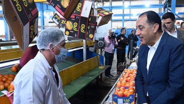 خلال الزيارة 