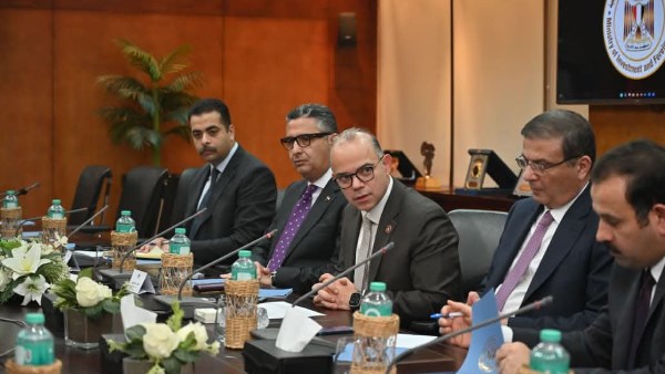 الدكتور محمد فريد وزير الاستثمار والتجارة الخارجية 