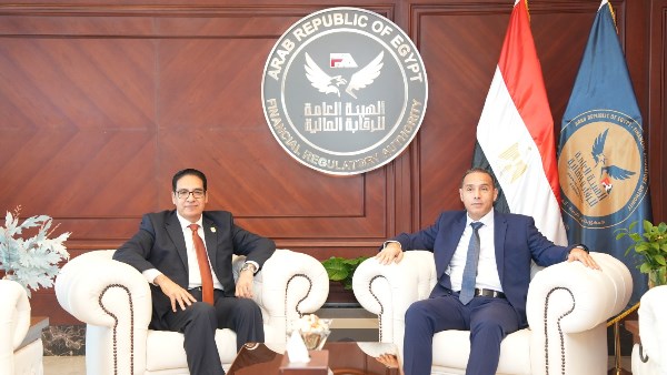 الدكتور إسلام عزام رئيس هيئة الرقابة المالية خلال الاجتماع 