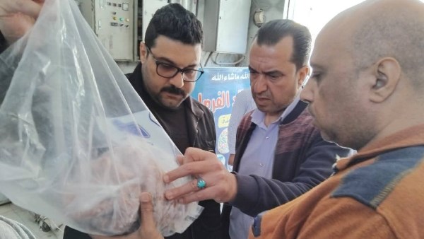 حملة مكبرة في المنوفية 