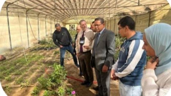 جامعة بني سويف