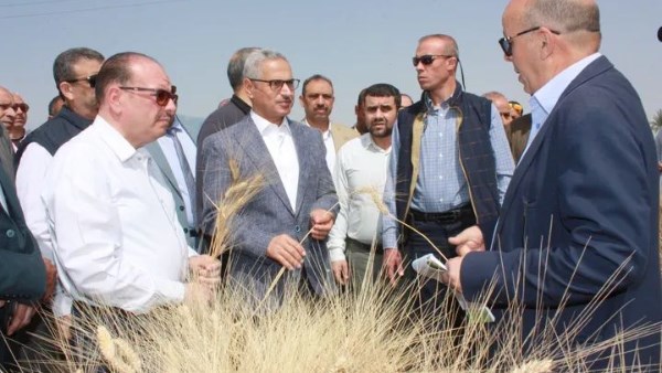 محافظ بني سويف 