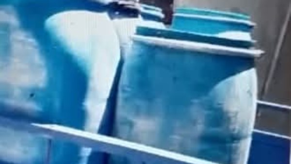 حملات تموينية ببني سويف